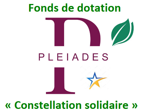 Logo Fonds de dotation Pleiades